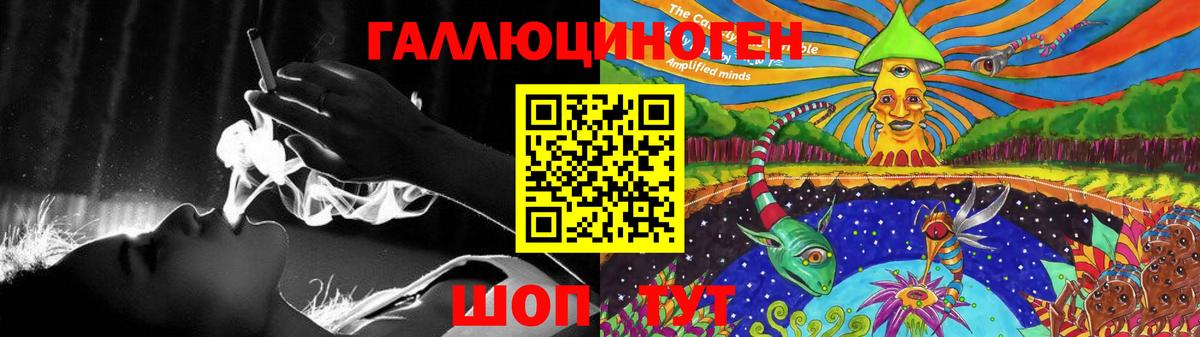 Ликино-Дулёво  Галлюциногенные грибы MAGIC MUSHROOMS  Вход с VPN  Псилоцибиновые грибы прущие грибы 